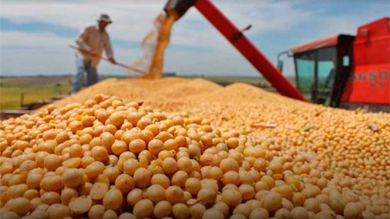 El fin de la era del gas: La soya ya genera más divisas que el petróleo
