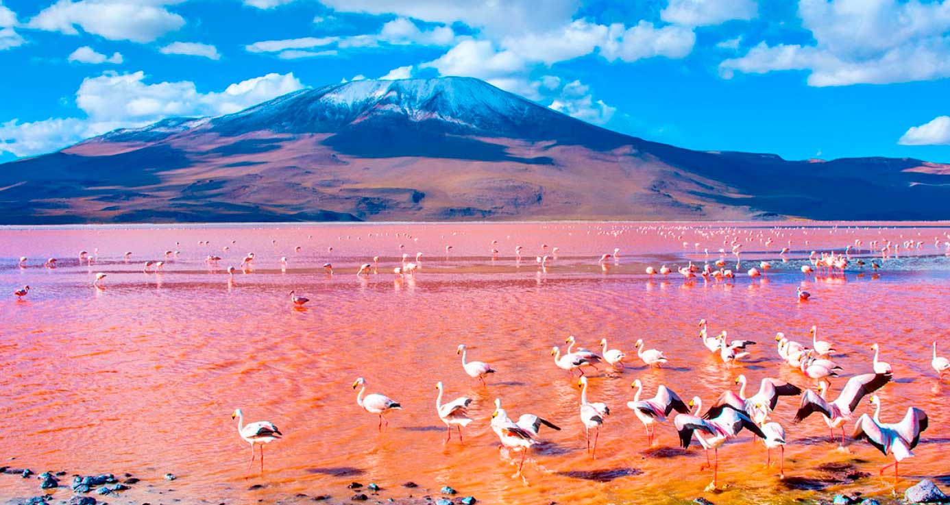 Bolivia Única Patrimonio